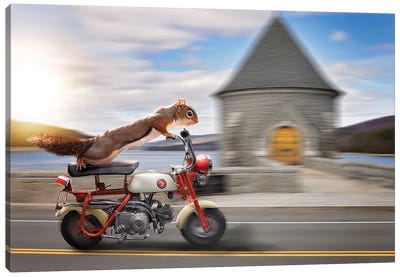 Red Rider Honda Scooter Canvas Art Print - Scooters