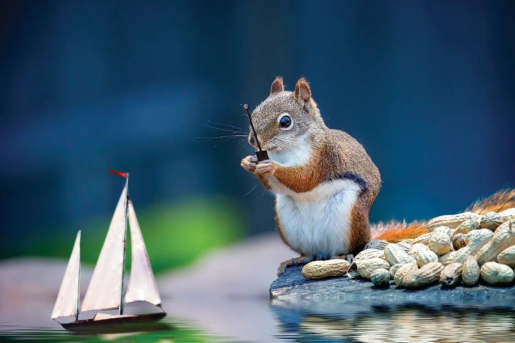Remote Control Sailboat by Karen Burke wall art