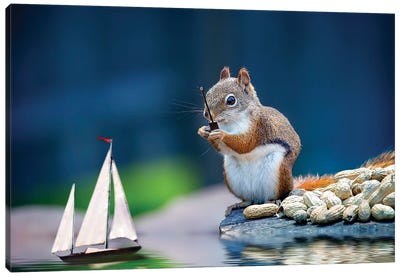Remote Control Sailboat Canvas Art Print - Squirrel Art