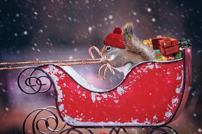 Santa'S Helper by Karen Burke framed canvas print