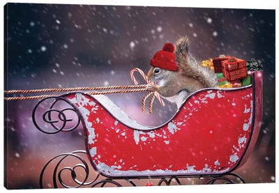 Santa'S Helper Canvas Art Print - Squirrel Art