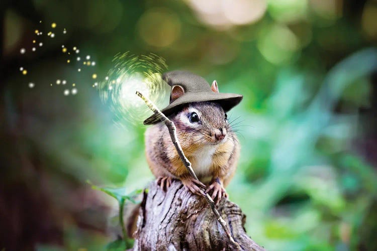 Sorcerer Chipmunk