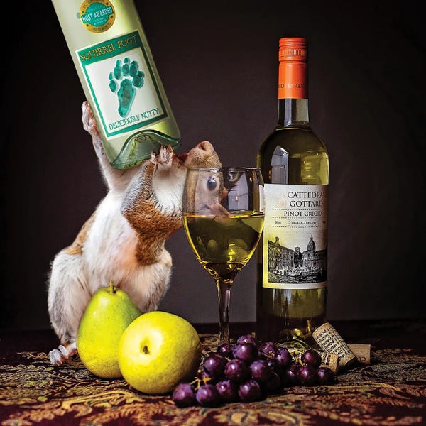 Squirrels: Squirrelfoot Wine by Karen Burke