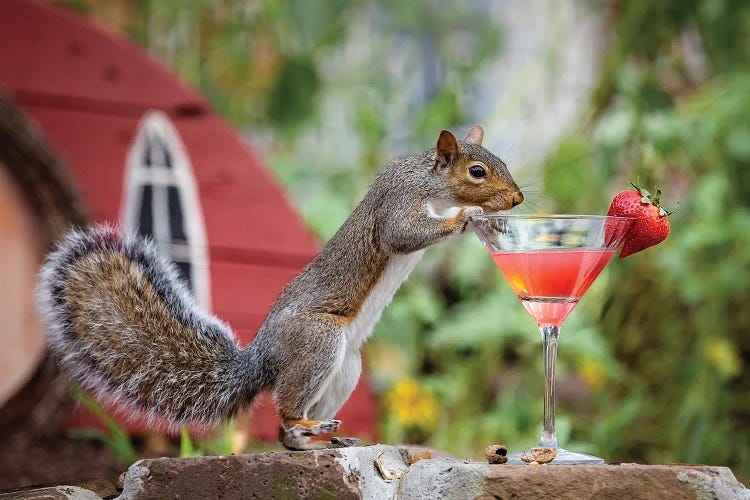Strawberry Martini Squirrel by Karen Burke wall art
