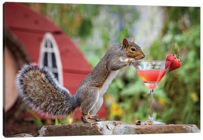 Strawberry Martini Squirrel Canvas Art Print - Karen Burke