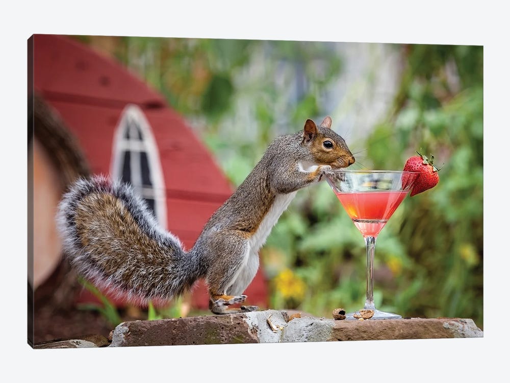 Strawberry Martini Squirrel by Karen Burke 1-piece Canvas Art Print