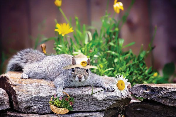 Squirrels: The Gardener by Karen Burke