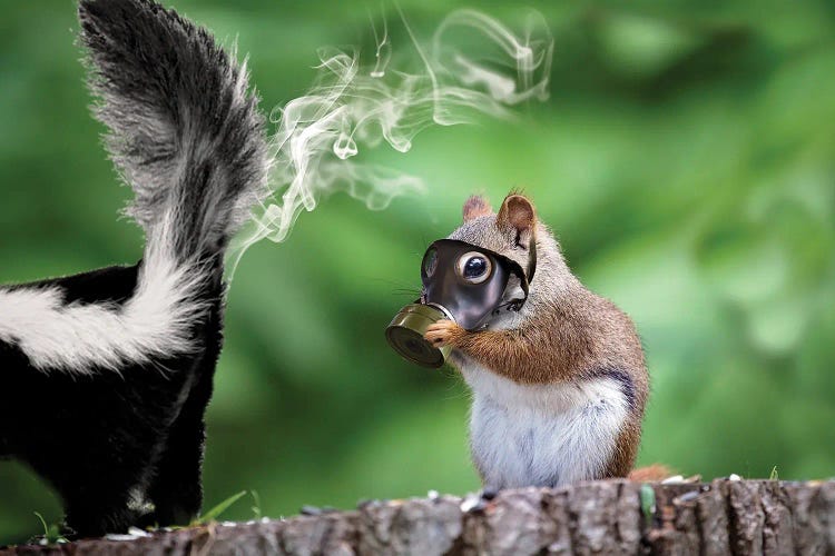 You Stink by Karen Burke wall art
