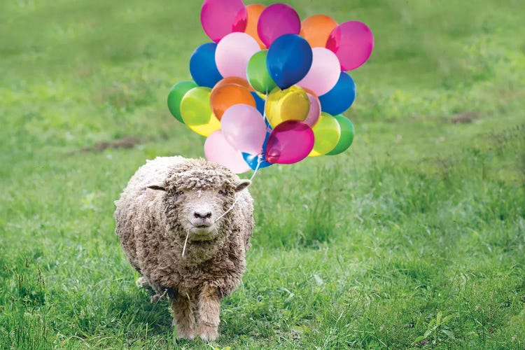 Babydoll Sheep Party Balloons