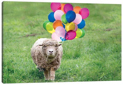 Babydoll Sheep Party Balloons Canvas Art Print - Karen Burke