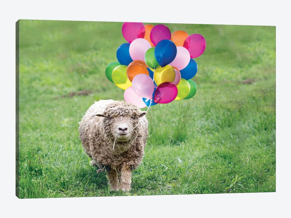 Babydoll Sheep Party Balloons by Karen Burke 1-piece Canvas Print