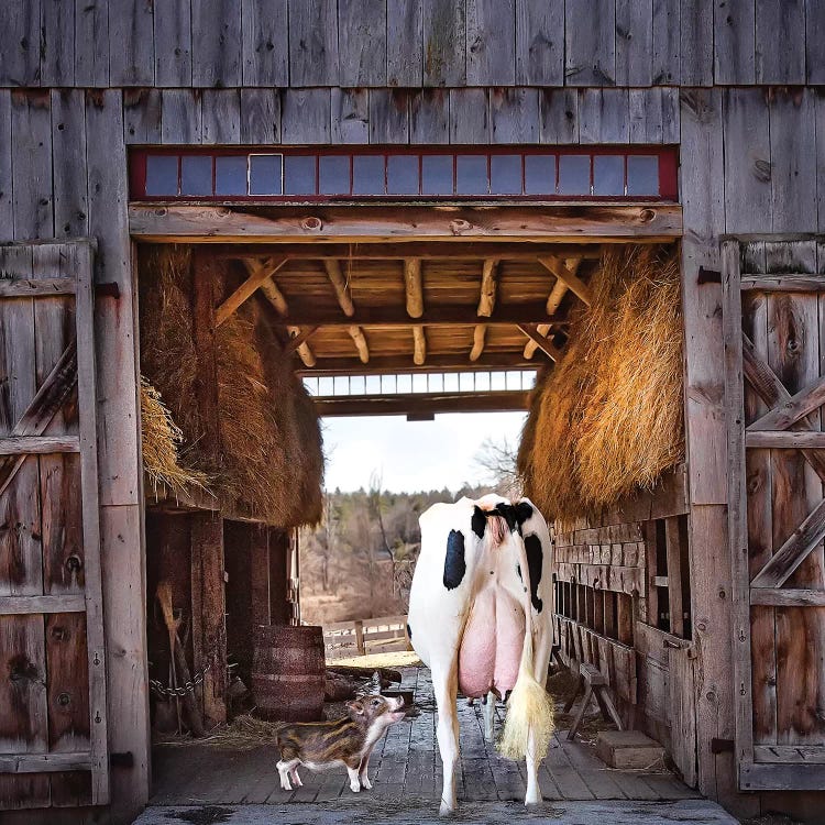 Barn Friends by Karen Burke wall art