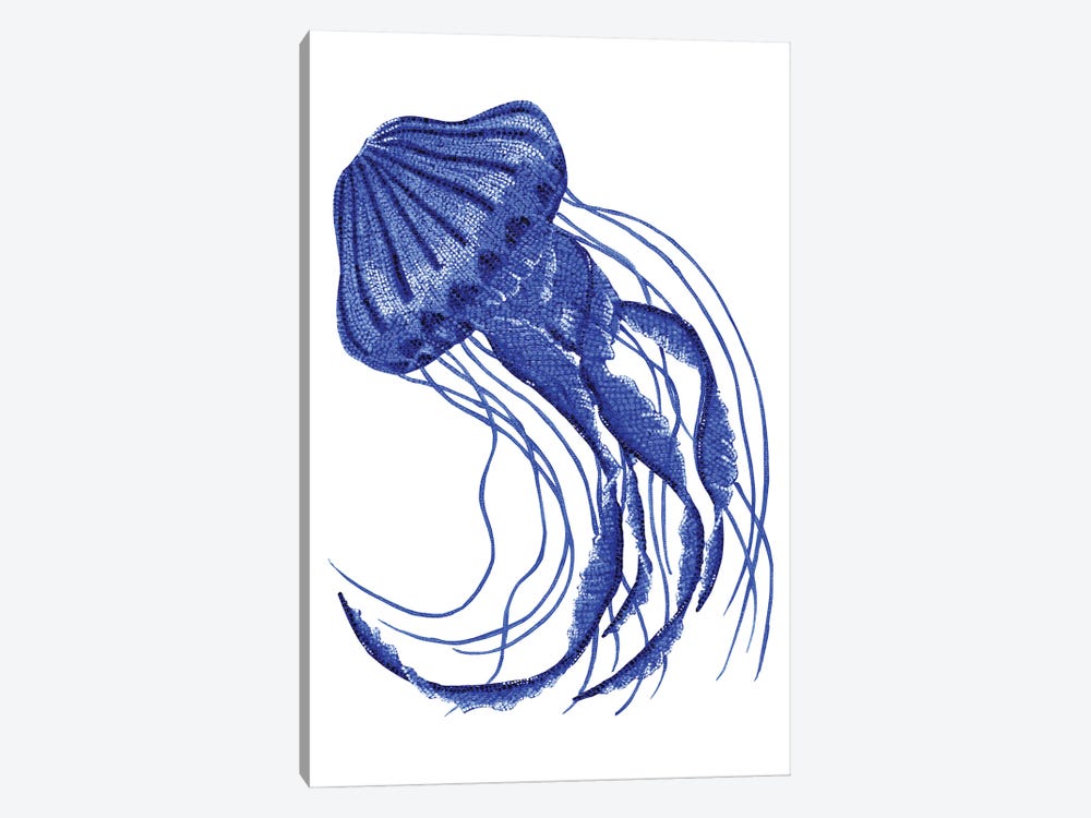 Jellyfish by Kelsey Emblow 1-piece Canvas Art Print