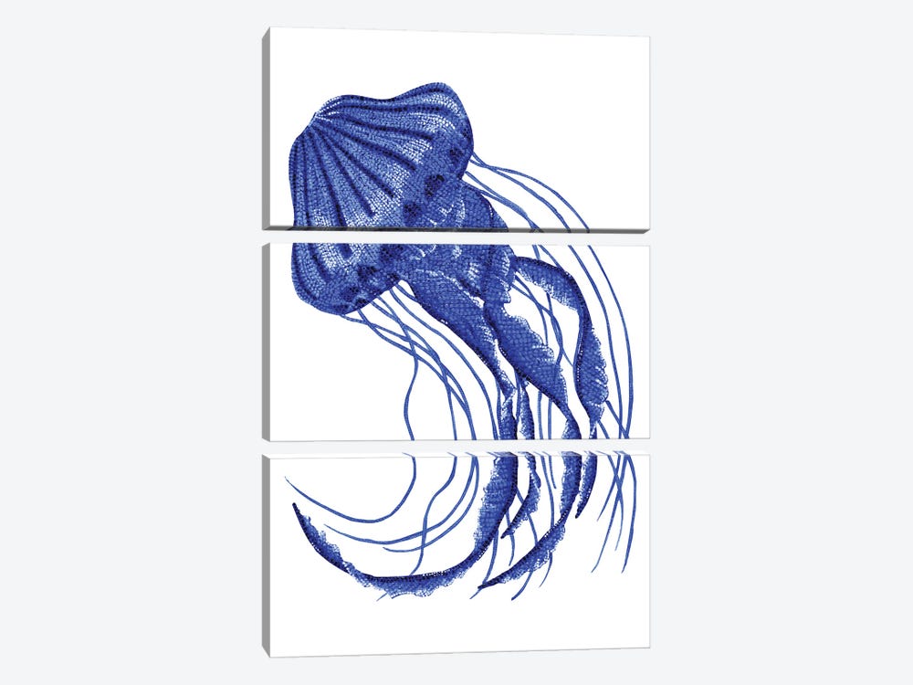 Jellyfish by Kelsey Emblow 3-piece Canvas Art Print