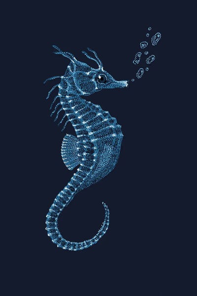 Seahorse by Kelsey Emblow art print
