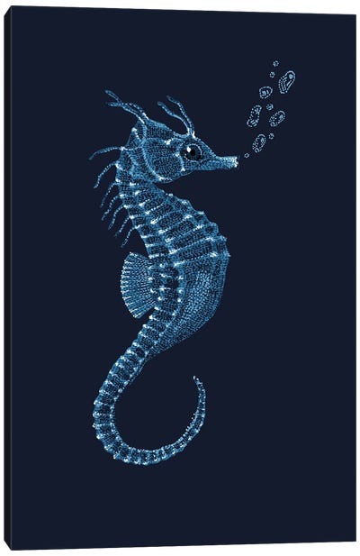 Seahorse Canvas Art Print - Blue Art