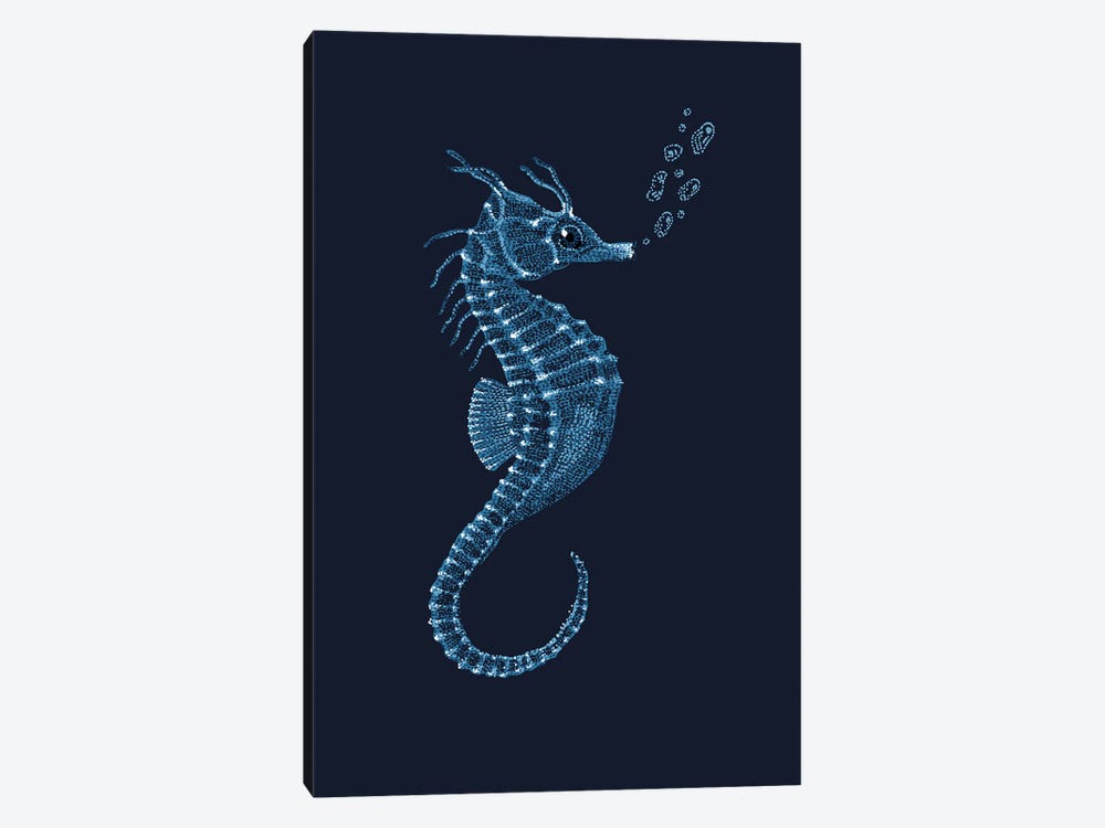 Seahorse by Kelsey Emblow 1-piece Canvas Wall Art