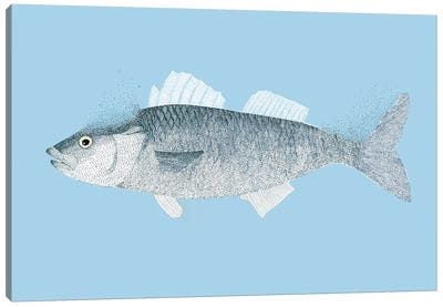 Summer Seaside Fish Canvas Art Print - Jordy Blue
