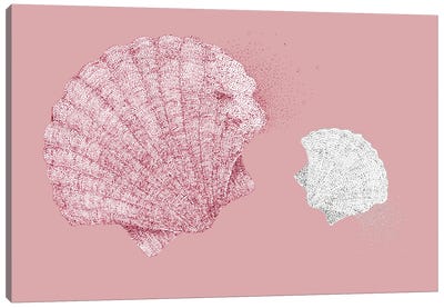 Summer Seaside Look Shells Canvas Art Print - Kelsey Emblow