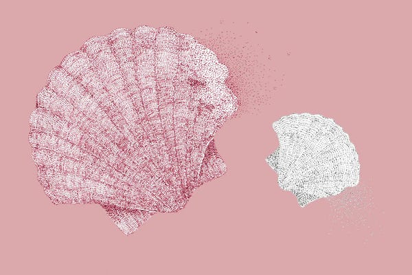 Sea Shells: Summer Seaside Look Shells by Kelsey Emblow