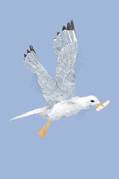 Summer Seaside Don'T Feed The Seagulls