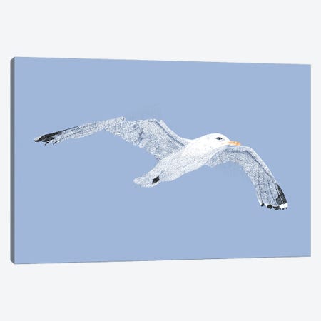 Summer Seaside Seagull Canvas Print #KBW16} by Kelsey Emblow Canvas Art