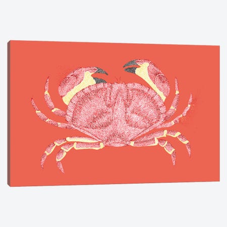 Summer Seaside Don'T Be Crabby Canvas Print #KBW17} by Kelsey Emblow Canvas Artwork