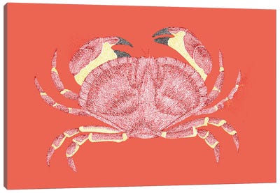 Summer Seaside Don'T Be Crabby Canvas Art Print - Red Art