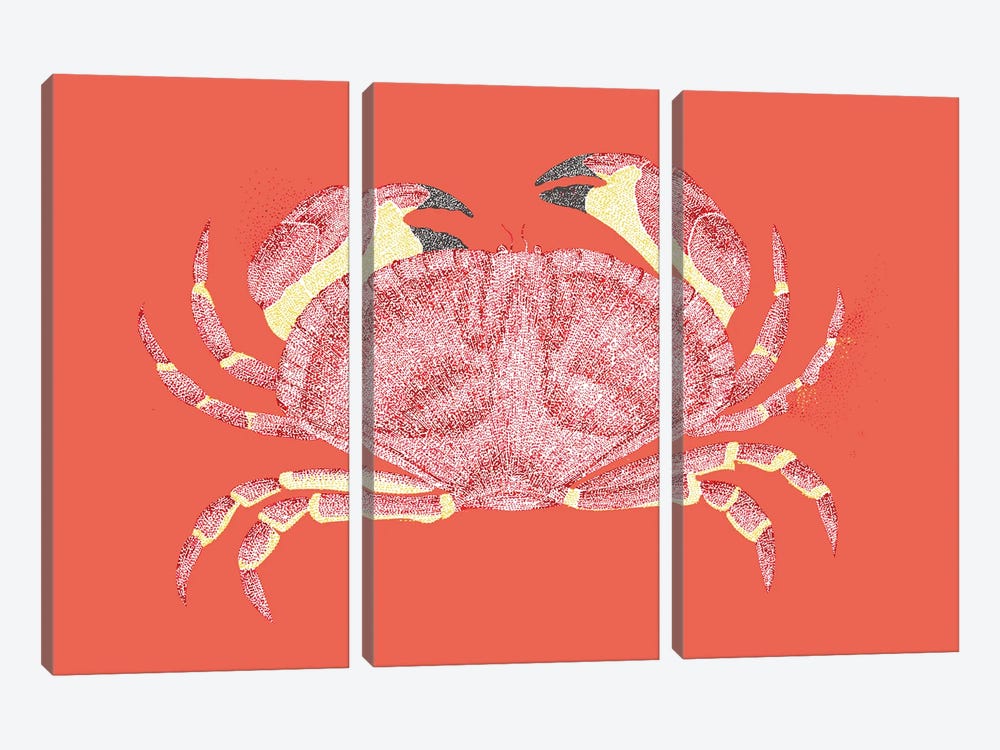 Summer Seaside Don'T Be Crabby by Kelsey Emblow 3-piece Canvas Wall Art