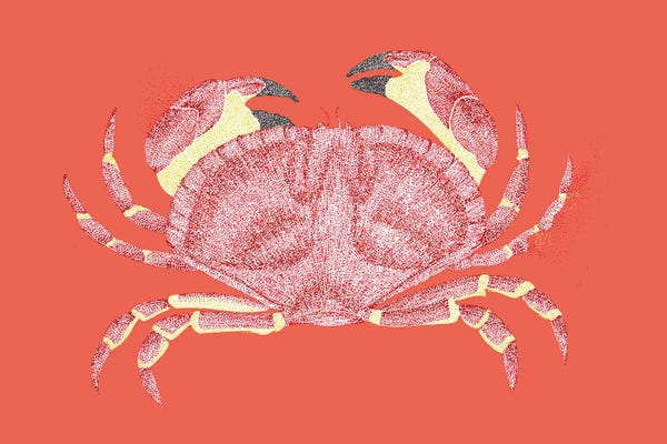Crabs: Summer Seaside Don'T Be Crabby by Kelsey Emblow