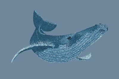 Stipple Of The Sea Humpback Whale by Kelsey Emblow art print