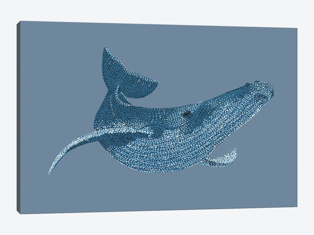Stipple Of The Sea Humpback Whale by Kelsey Emblow 1-piece Canvas Print