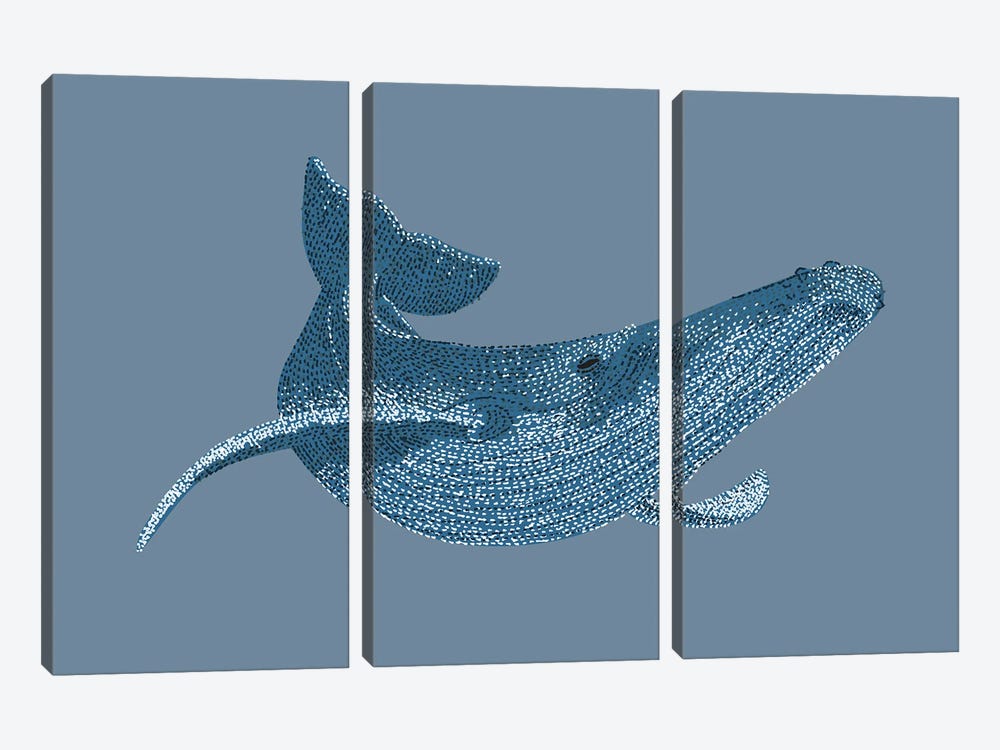 Stipple Of The Sea Humpback Whale by Kelsey Emblow 3-piece Canvas Art Print
