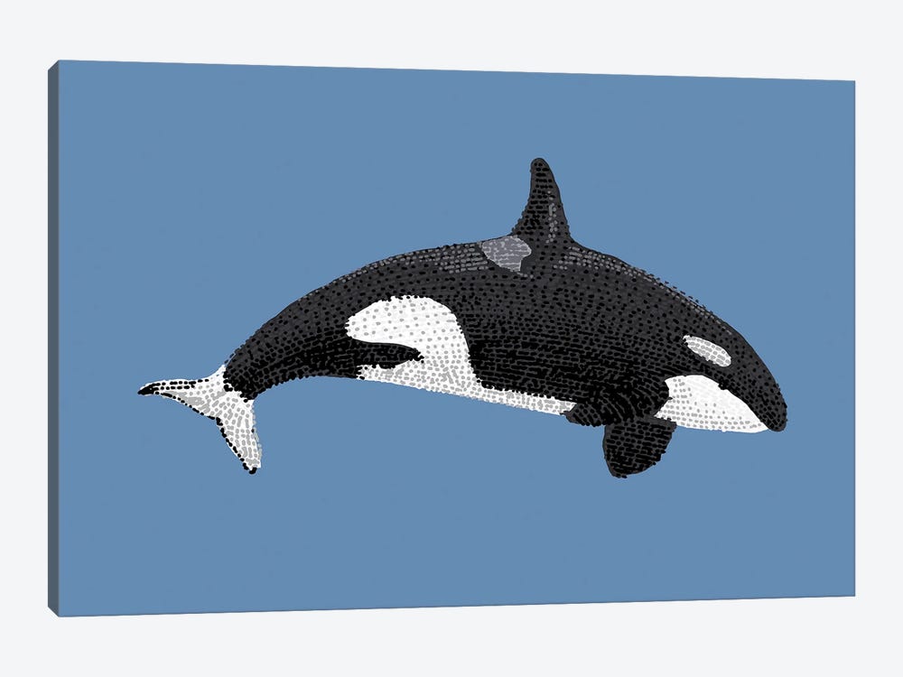 Stipple Of The Sea Killer Whale by Kelsey Emblow 1-piece Canvas Artwork