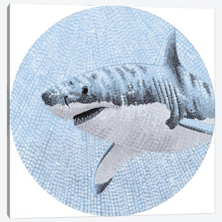 Starry Ocean Great White Shark Canvas Print #KBW1} by Kelsey Emblow Canvas Artwork