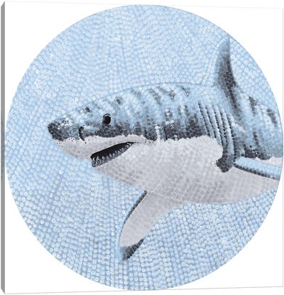 Starry Ocean Great White Shark Canvas Art Print - Shark Art