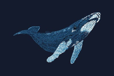 Stipple Of The Sea Humpback Whale 2 by Kelsey Emblow art print