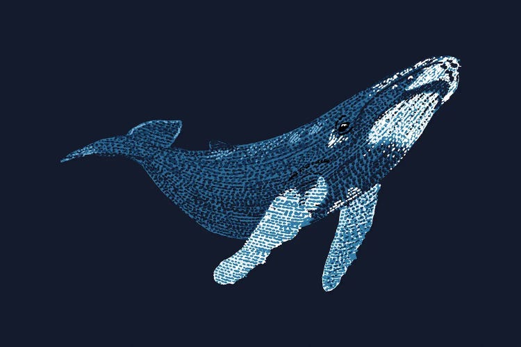 Stipple Of The Sea Humpback Whale 2 by Kelsey Emblow wall art