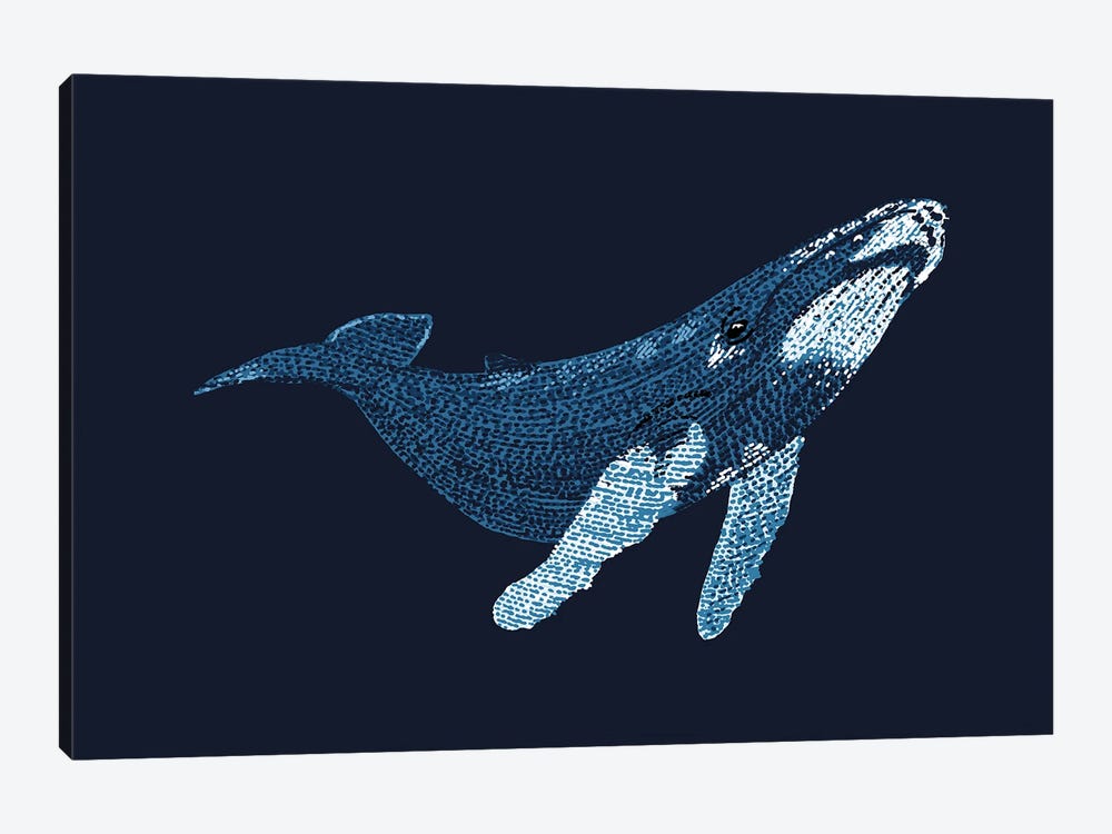 Stipple Of The Sea Humpback Whale 2 by Kelsey Emblow 1-piece Canvas Wall Art