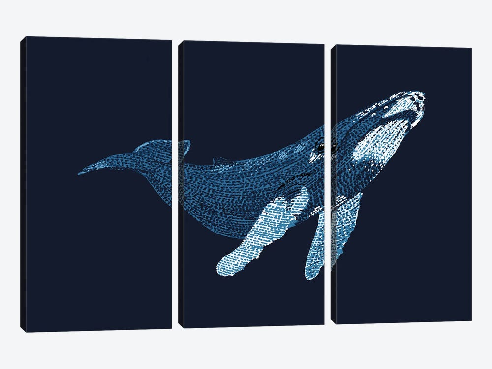 Stipple Of The Sea Humpback Whale 2 by Kelsey Emblow 3-piece Canvas Wall Art