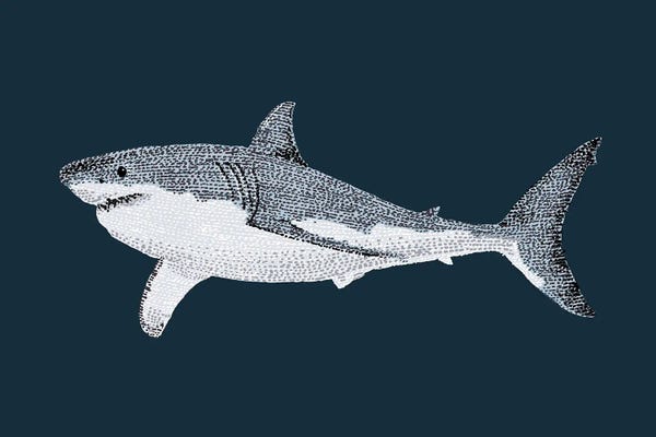 Sharks: Stipple Of The Sea Great White by Kelsey Emblow