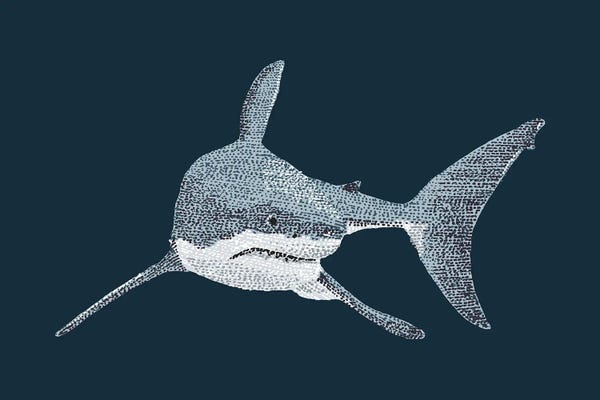 Sharks: Stipple Of The Sea Great White Shark by Kelsey Emblow