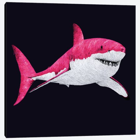 Pinkest Pink Shark Canvas Print #KBW26} by Kelsey Emblow Canvas Print