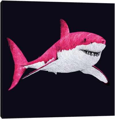 Pinkest Pink Shark Canvas Art Print - Great White Shark Art