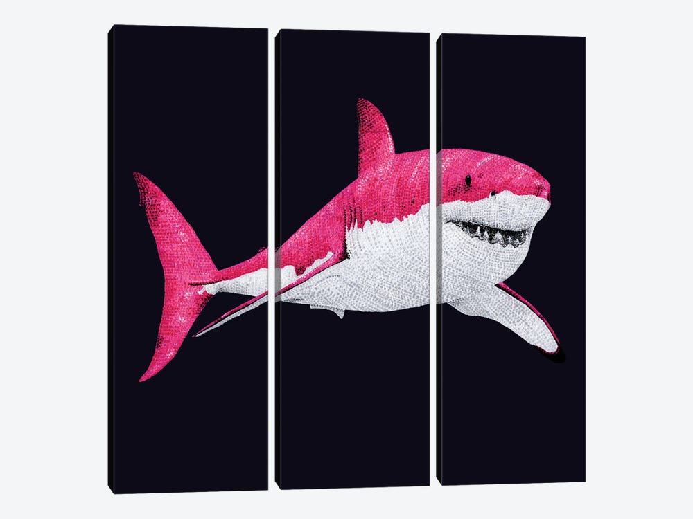 Pinkest Pink Shark by Kelsey Emblow 3-piece Canvas Wall Art