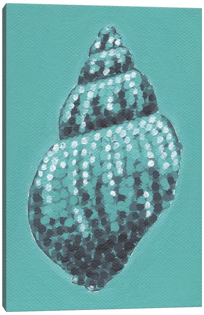 Tiffany Shell Canvas Art Print - Turquoise Art