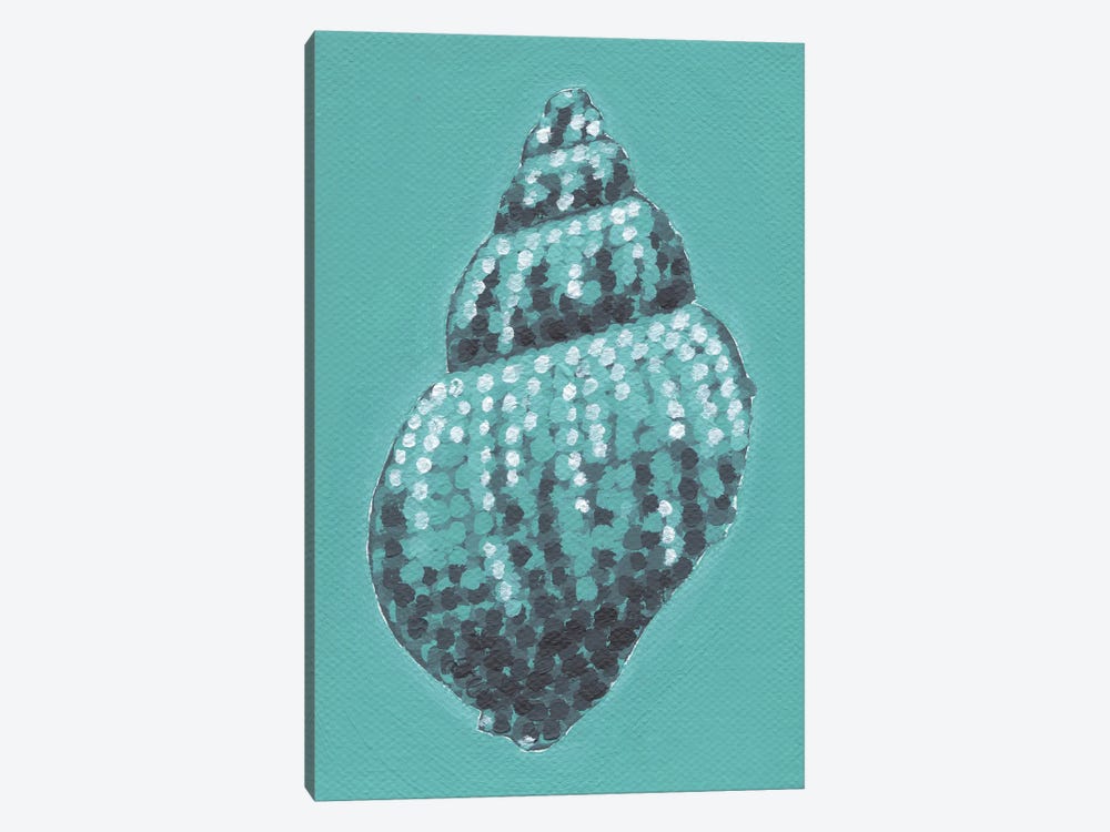 Tiffany Shell by Kelsey Emblow 1-piece Canvas Artwork