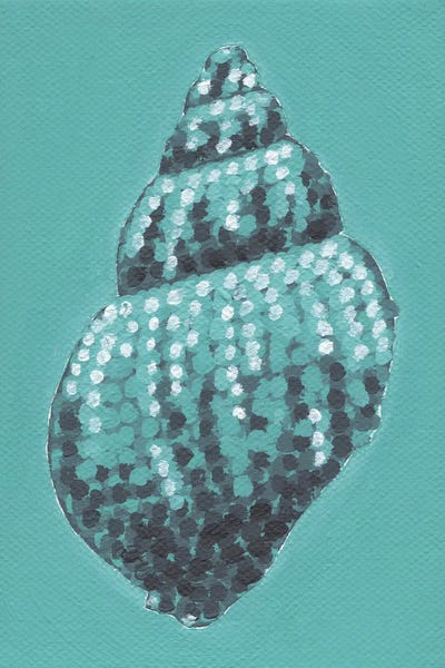 Sea Shells: Tiffany Shell by Kelsey Emblow