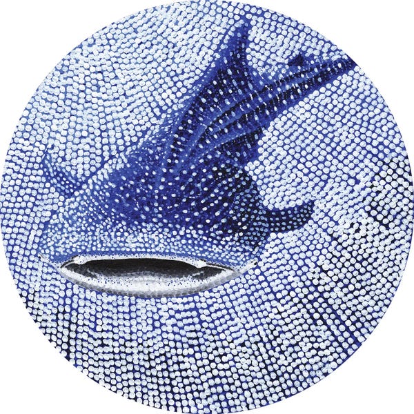 Sharks: Starry Ocean Whale Shark Shark by Kelsey Emblow
