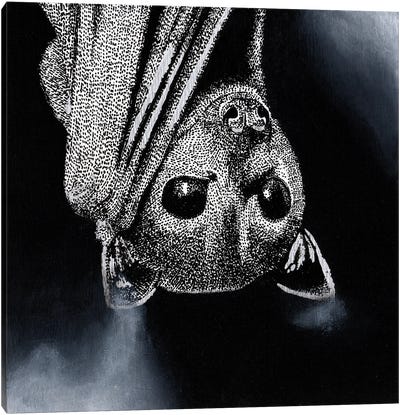Flying Fox Canvas Art Print - Bat Art